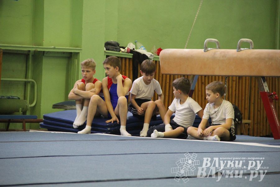 В Великих Луках состоялось Первенство города по спортивной гимнастике (фото)