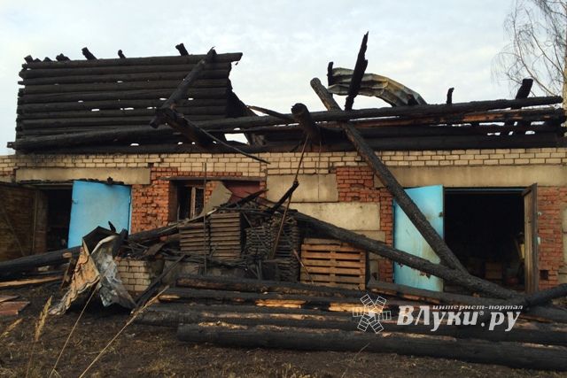 Печь стала причиной пожара в Великих Луках (фото)