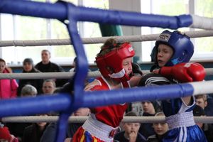 Юные великолучане выявили сильнейших боксёров (ФОТО)
