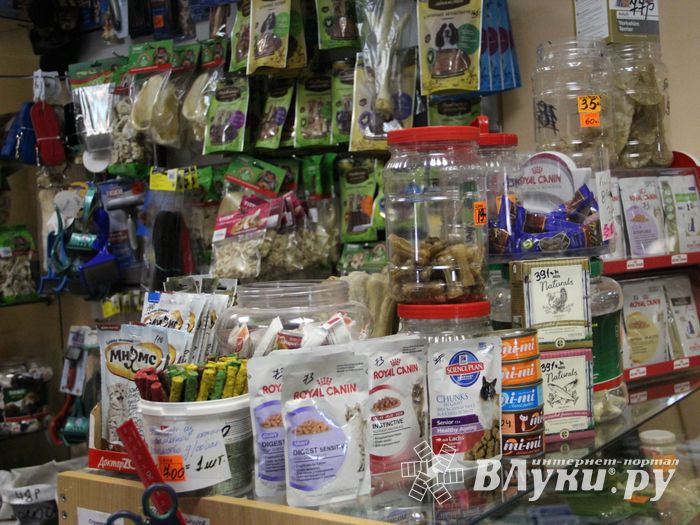 «Zooбастики»: подарите праздник своим любимцам! (ФОТО+ВИДЕО)