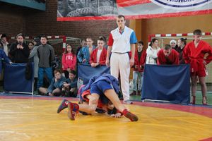 Великолукские самбисты завоевали 54 награды на Первенстве города (ФОТО)