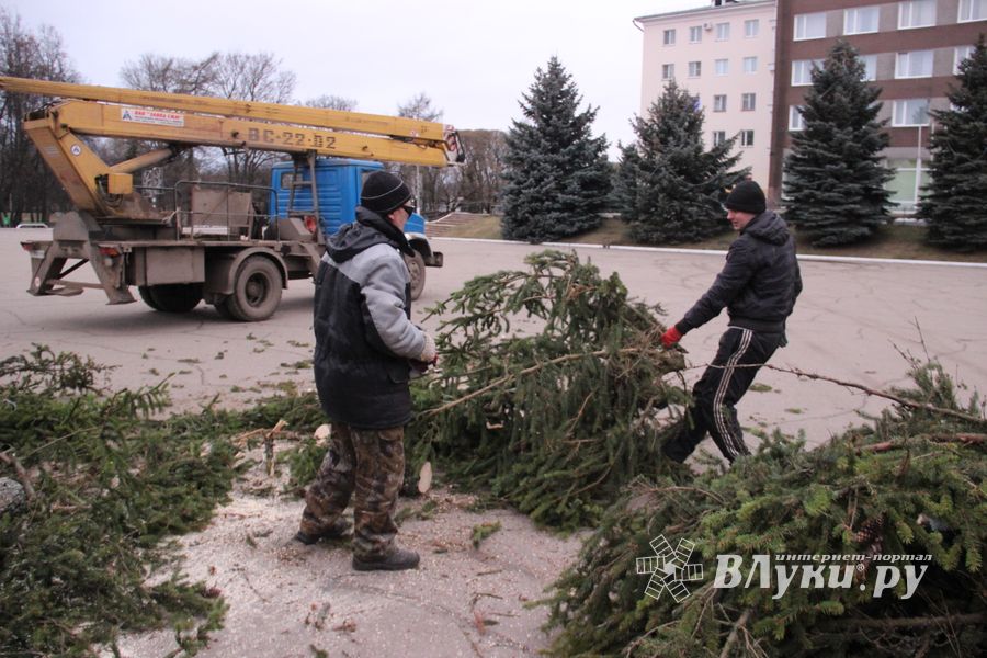Необычное украшение сняли с главной ёлки Великих Лук (ФОТО)