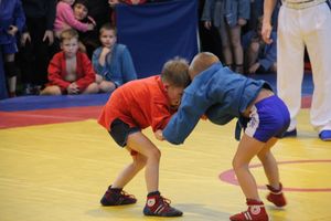 В Великих Луках проходит турнир самбистов (ФОТО)