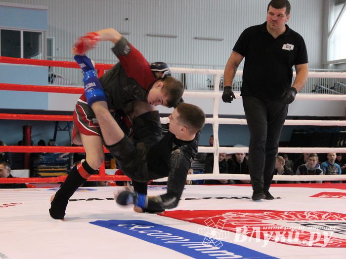 Открытый кубок по смешанному боевому единоборству ММА прошел в Великих Луках (ФОТО)