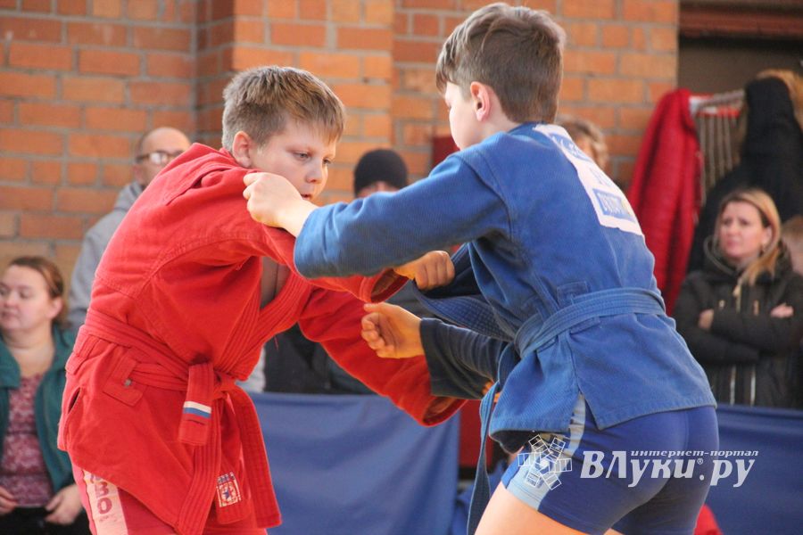 Великолучане завоевали награды турнира по самбо «Память» (ФОТО)