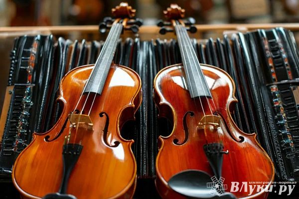 Дновская, Печорская и Пушкиногорская ДШИ получат музыкальные инструменты и оборудование по нацпроекту