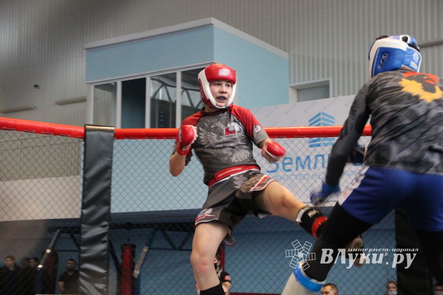 В Великих Луках прошел кубок по смешанному боевому единоборству (ФОТО)