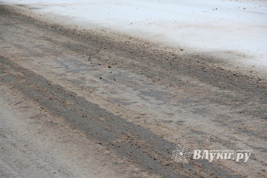 В Великих Луках — 20 км/ч (ФОТО)