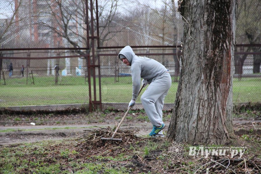 На острове Дятлинка проходит субботник