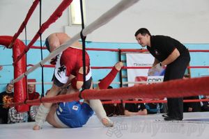 Чемпионат Псковской области по ММА