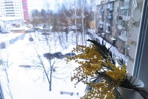 ©ВЛуки.ру