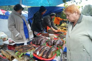 ​Универсальная торговая ярмарка «Осень – 2014» состоялась  в Великих Луках