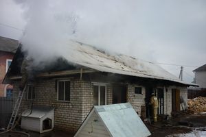 В Великих Луках сгорела хозпостройка (фото)