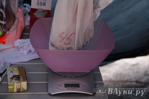 Подведены итоги Открытого чемпионата Великих Лук по рыболовному спорту (фото)