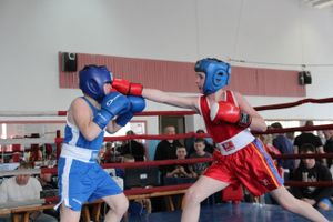 В Великих Луках прошло Первенство города по боксу (ФОТО)