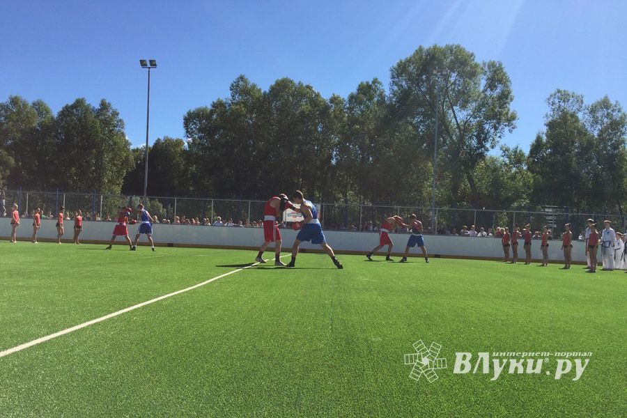 Спортивно-массовые мероприятия в честь Дня города (ФОТО)