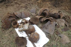 Поисковики подняли 15 солдат РККА в Локнянском районе (ФОТО)