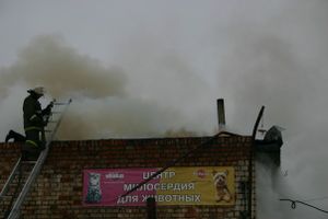Неисправная печь в приюте для животных спровоцировала пожар