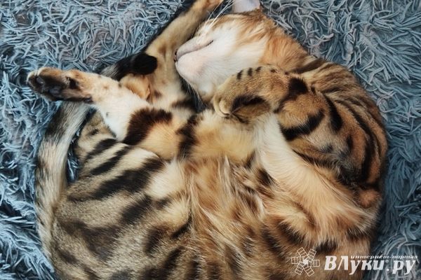 Прогноз погода в Великих Луках на 8 января