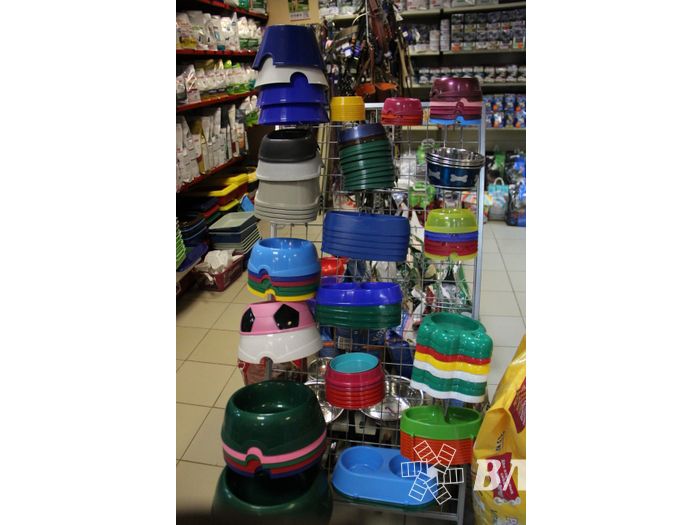 «Zooбастики»: подарите праздник своим любимцам! (ФОТО+ВИДЕО)