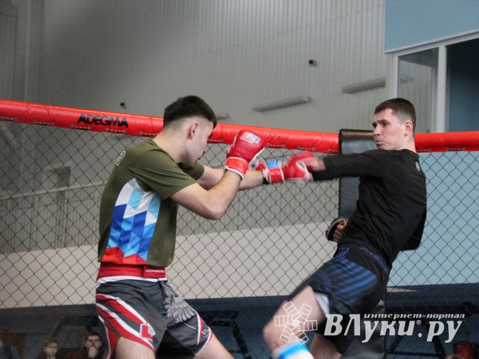 В Великих Луках прошел кубок по смешанному боевому единоборству (ФОТО)