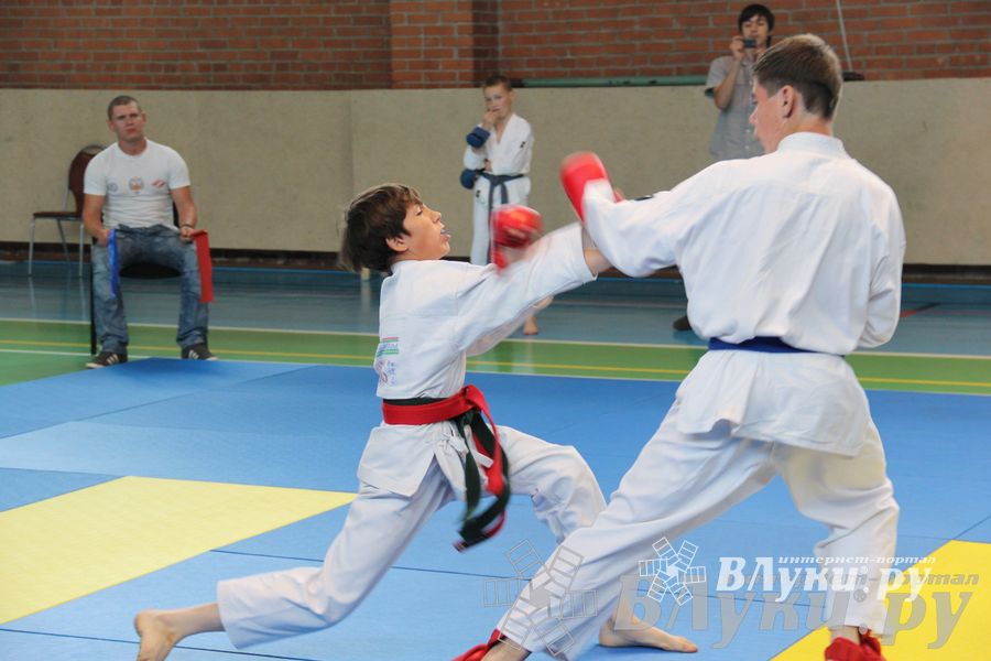 Турнир по каратэ «Неприкосновенный запас — дети Отчизны»