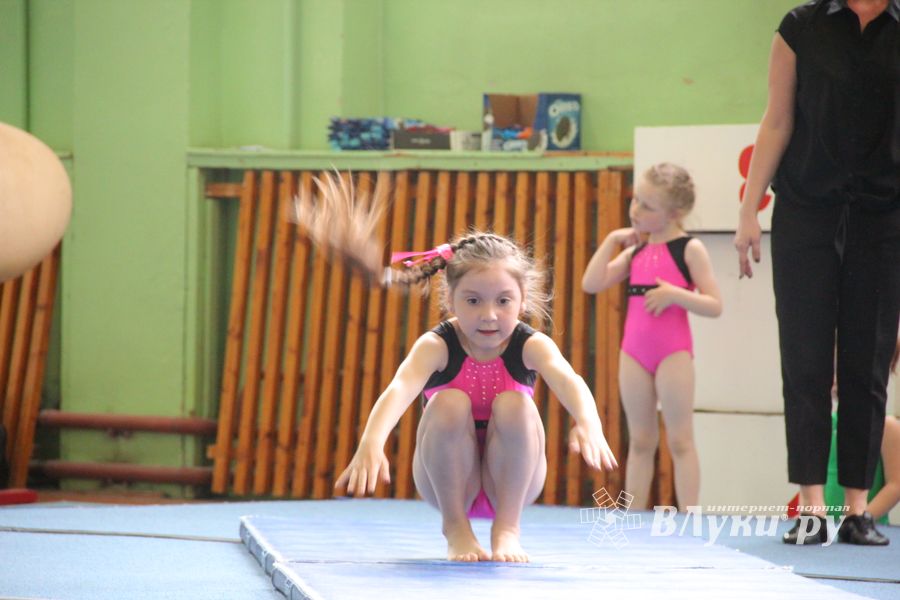 В Великих Луках прошло первенство по спортивной гимнастике (ФОТО)