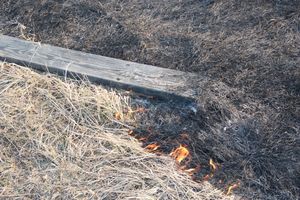 Великолукский район полыхает (ФОТО; ВИДЕО)