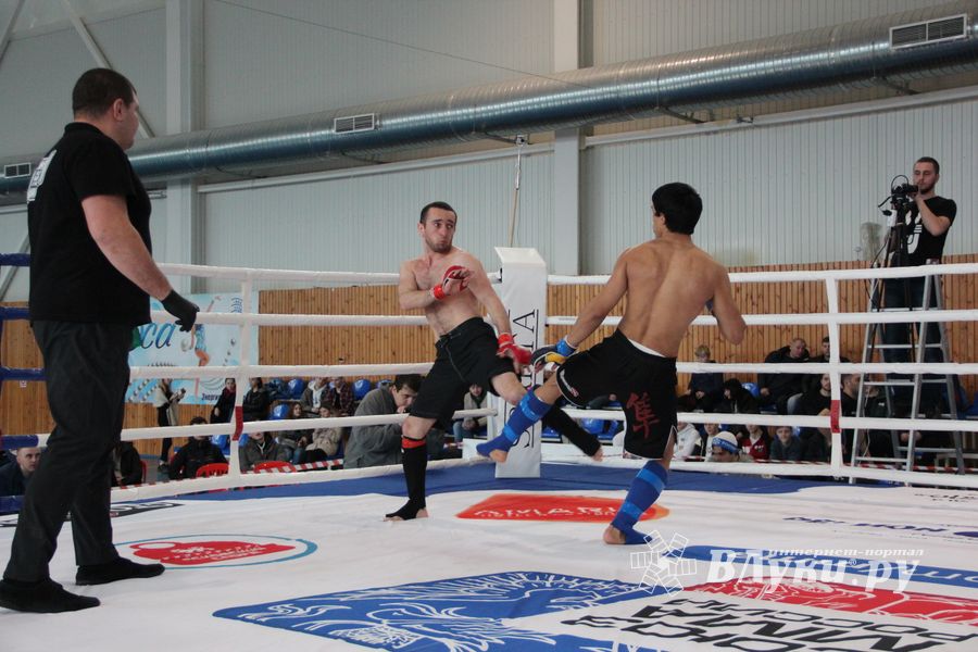 Открытый кубок по смешанному боевому единоборству ММА прошел в Великих Луках (ФОТО)