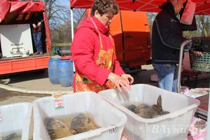 Универсальная торговая ярмарка «Весна-2015» прошла в Великих Луках (фото)