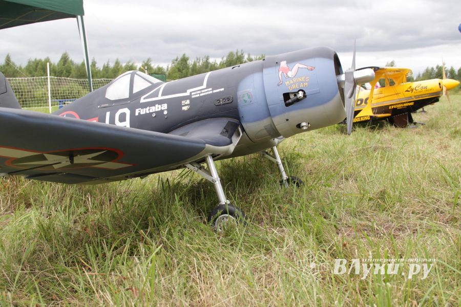Чемпионат России по авиамодельному спорту в Великих Луках (ФОТО)
