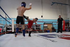 Открытый Кубок города Великие Луки по смешанному боевому единоборству (ММА)