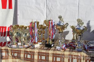 Всероссийская массовая лыжная гонка «Лыжня России 2015» состоялась в Великолукском районе (фото)