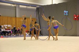 В Великих Луках прошли соревнования на Кубок Псковской области по художественной гимнастике (ФОТО)
