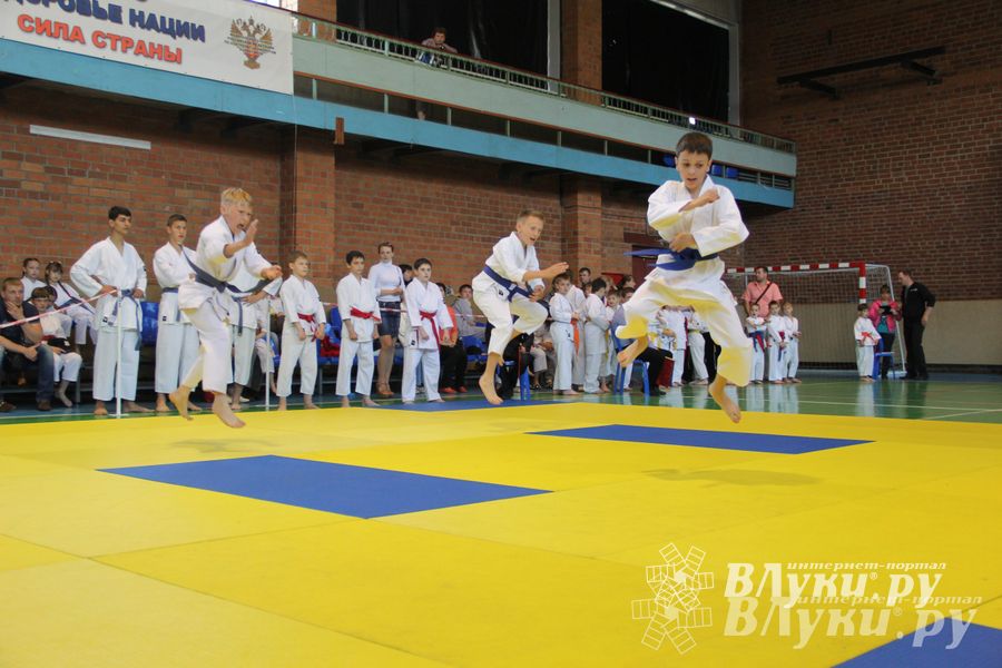 Великолучане стали победителями турнира по каратэ «Неприкосновенный запас, дети — Отчизны 2015» (фото)