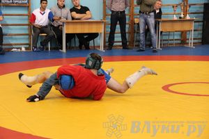 Первенство Псковской области по самбо