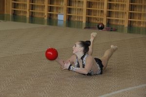 В Великих Луках прошло Открытое первенство города по художественной гимнастике (ФОТО)