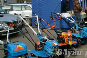 Весенняя ярмарка 2013 прошла в Великих Луках