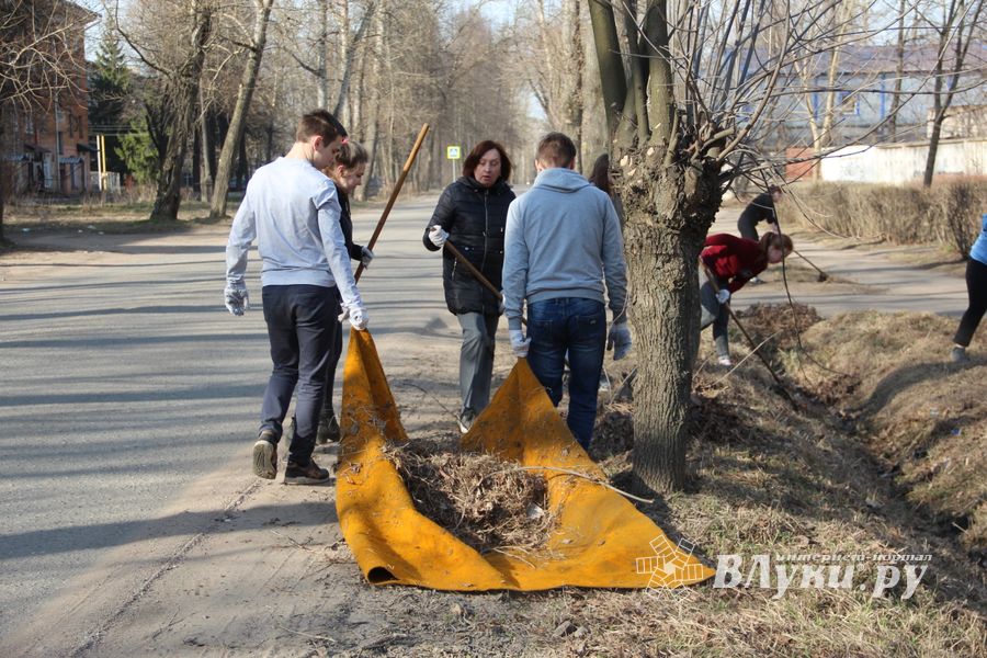 Студенты великолукского филиала ПГУПС вышли на субботник (ФОТО)