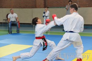 Турнир по каратэ «Неприкосновенный запас — дети Отчизны»