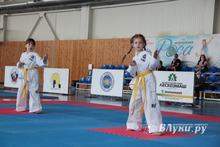 В Великих Луках состоялся Чемпионат и первенство Псковской области по тхэквондо МФТ (ФОТО)