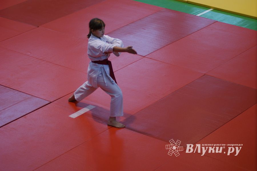 В Великих Луках прошли соревнования по каратэ (ФОТО)