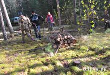 В Псковской области прошла акция «Живи, лес!» (фото)