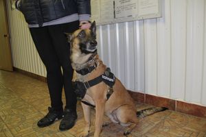 В Великих Луках проходит акция «Сообщи где торгуют смертью» (ФОТО)