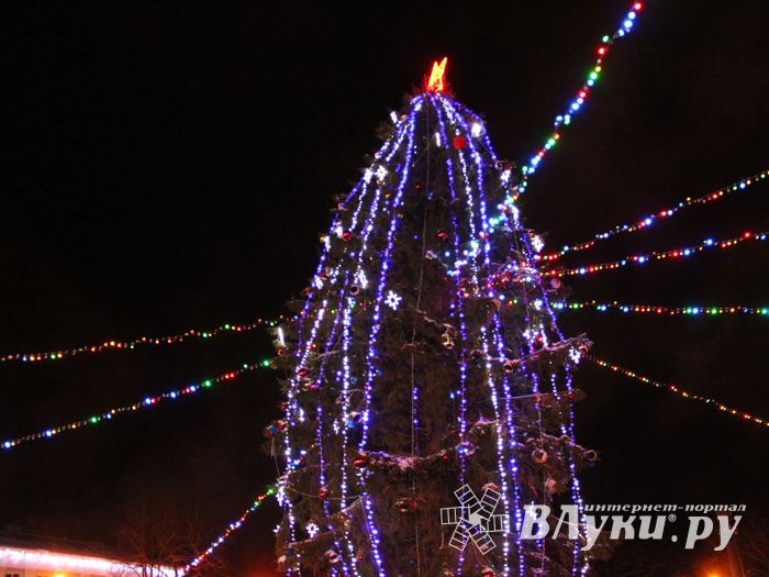 В Великих Луках петуха сменили на собак (ФОТО)