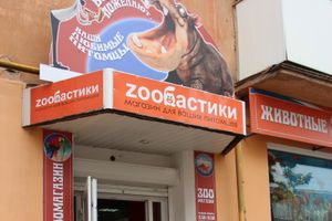 «Zooбастики»: подарите праздник своим любимцам! (ФОТО+ВИДЕО)