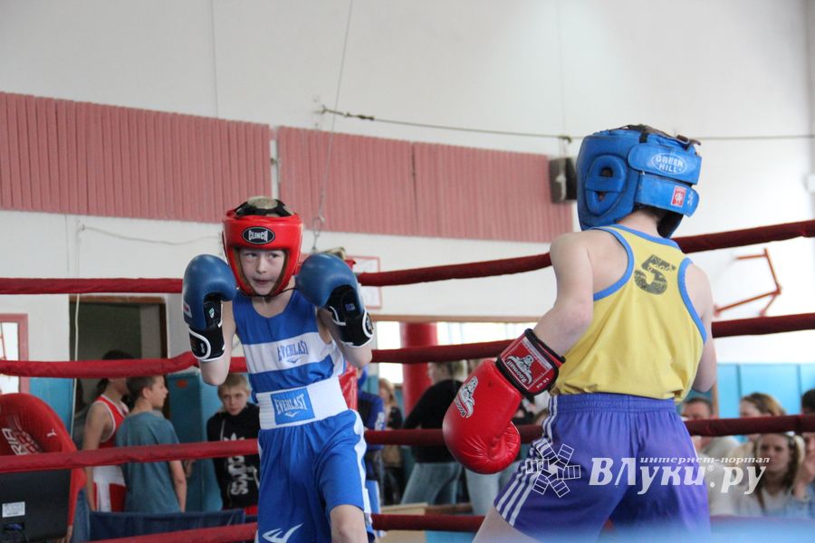 В Великих Луках прошло Первенство города по боксу (ФОТО)