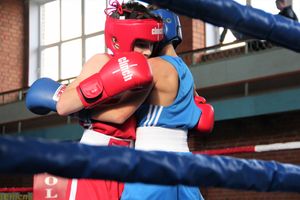 Второй день турнира по боксу складывается для великолучан удачно (ФОТО)