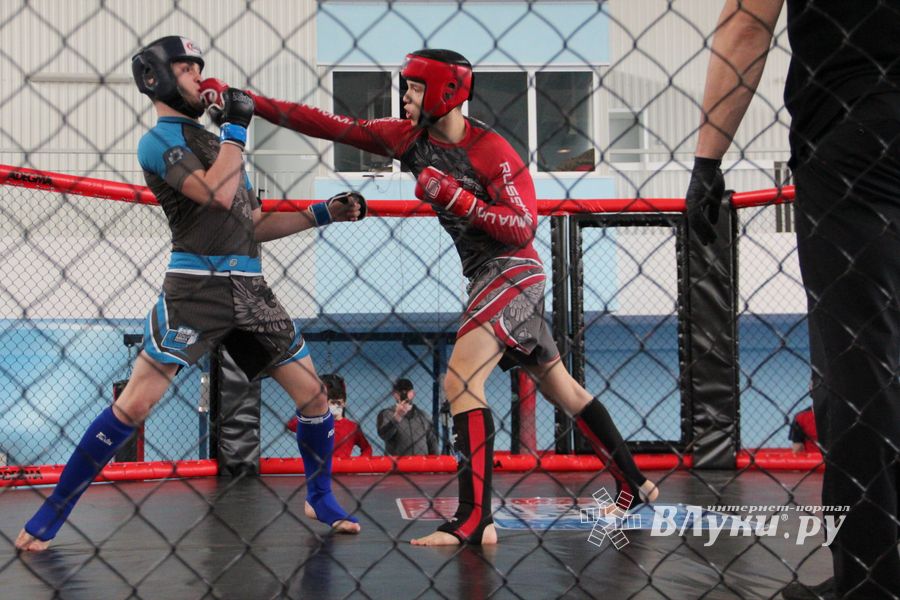 В Великих Луках прошло Первенство России по смешанному боевому единоборству (ФОТО)