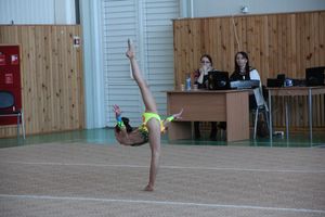 В Великих Луках прошло ​Открытое первенство города по художественной гимнастике (фото)